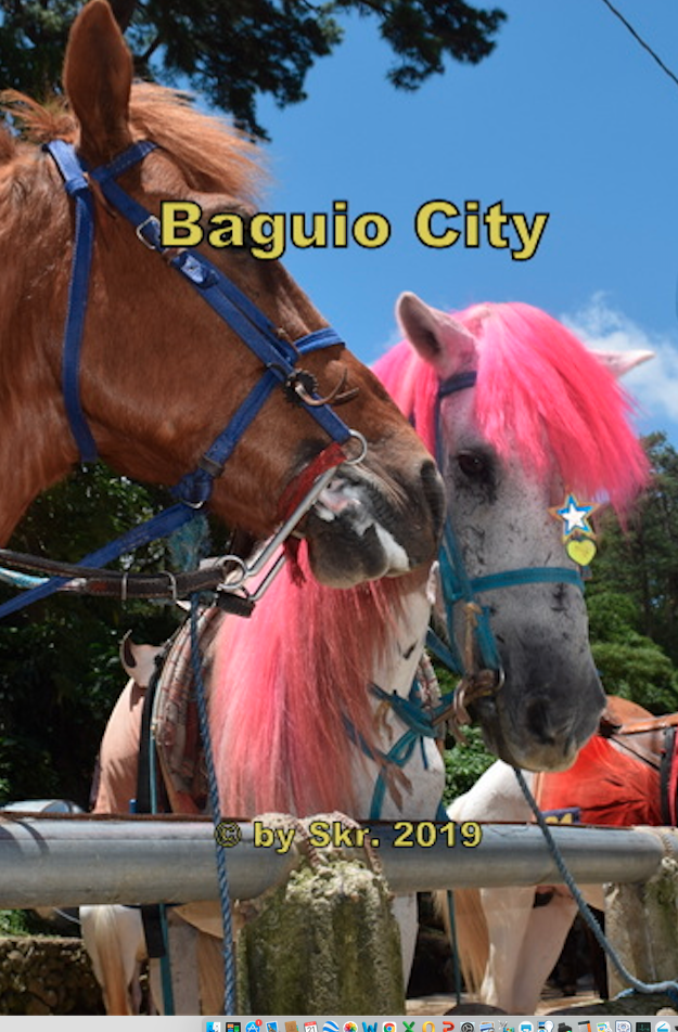 Baguio City, Horseback Riding at the Wright Park  Amusement Park. 